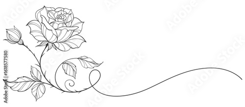 Rose flower line art style vector illustration