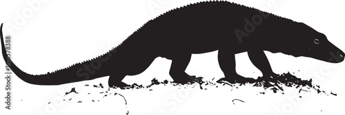 Komodo Dragon Digging Using front limbs to dig into the ground with head lowered and body angled. full length silhouette black vector illustration