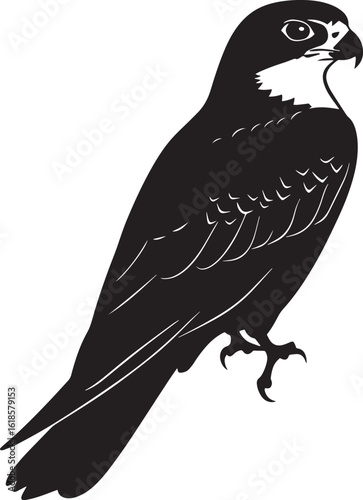 Falcon Resting Sitting on a perch or the ground wings folded body still. full length silhouette black vector illustration
