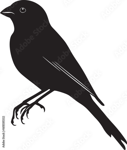 Sparrow Grooming Beak cleaning feathers, body still and calm, black silhouette vector.