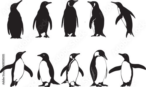 Penguin Pairing Two penguins close together standing side by side with heads slightly tilted. full length silhouette black vector illustration