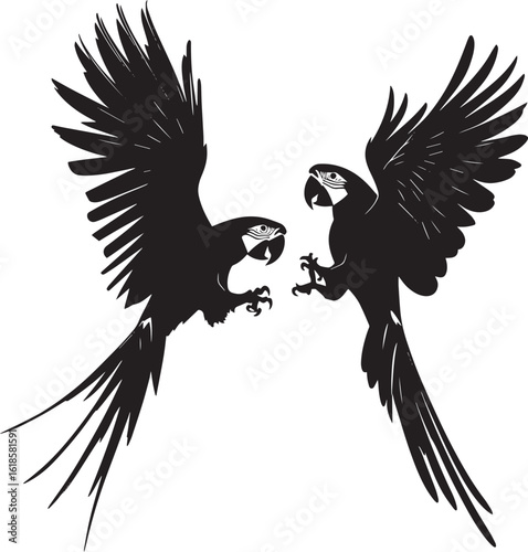 Macaw Playing Body twisted or upside down interacting with another bird. full length silhouette black vector illustration