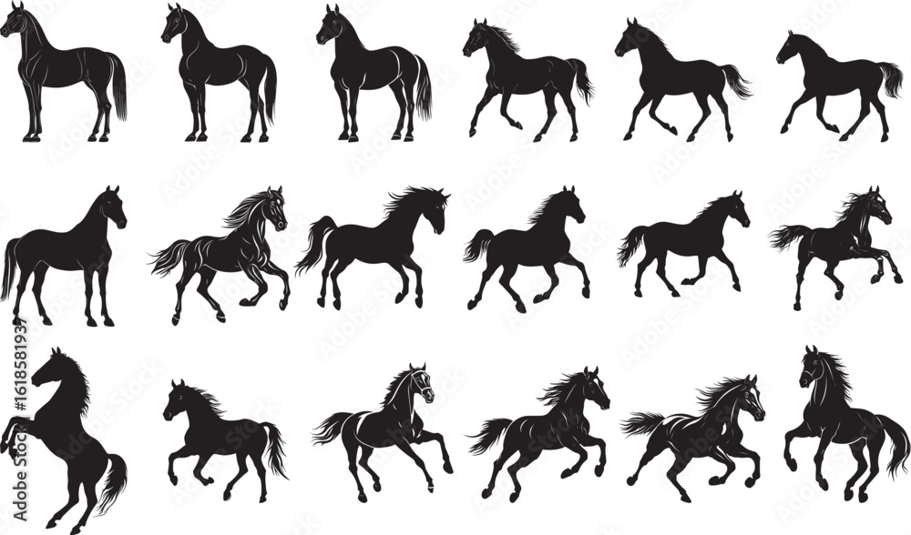 Fototapeta premium Horse Rearingâ€‹ On hind legs front legs raised tail straight up. full length silhouette black vector illustration
