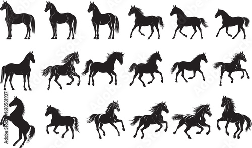 Horse Rearingâ€‹ On hind legs front legs raised tail straight up. full length silhouette black vector illustration