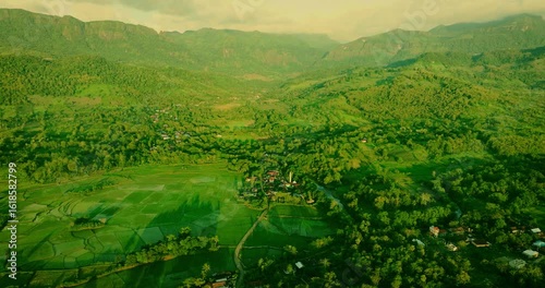 Jungle Mountain Sunset Canopy Aerial