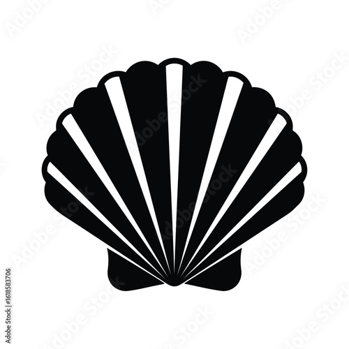 Vector illustration of seashell isolated on white background