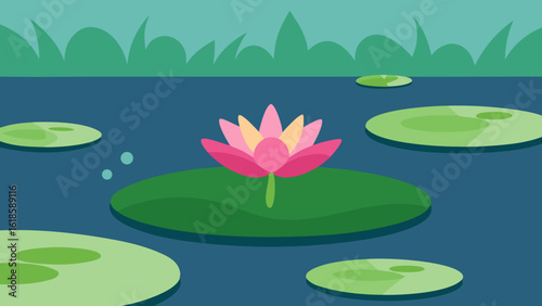 Admire the serene beauty of a water lily pond in full bloom creating a tranquil garden oasis