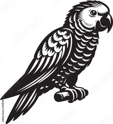 Bird Parrot Logo Vector Black Silhouette Illustration