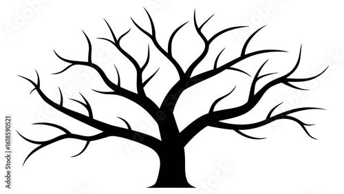 The Stark Graphic Quality of Bare Tree Branches Sky