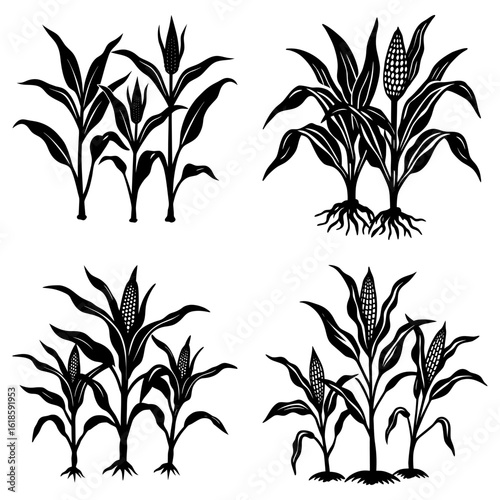 Four sets of black silhouette corn plants with leaves and corn cobs on a white background design art