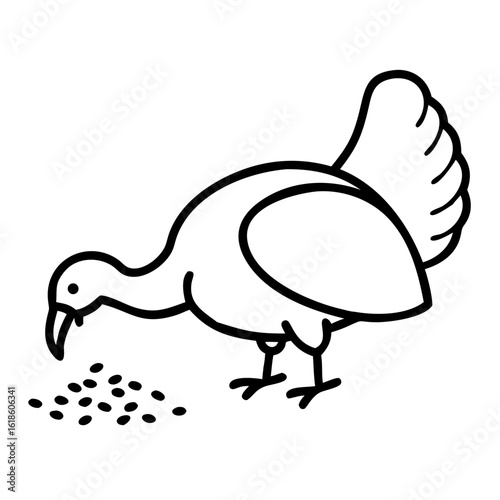 Turkey eating grains on white background, concept of farm animals  