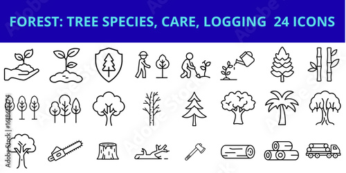 Forest tree species, care, and logging icons in minimalist style  
