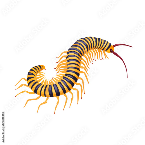 Centipede Isometric Icon