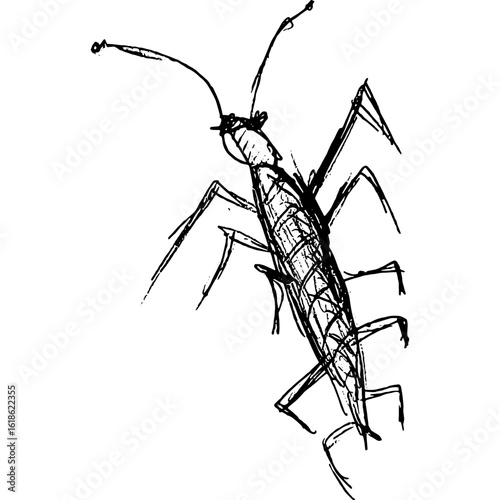 Bugs, Insects