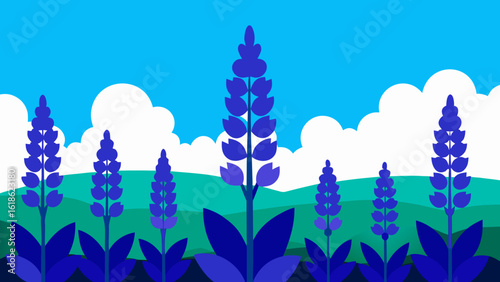 Tall Striking Blue Purple Delphiniums Field Nature