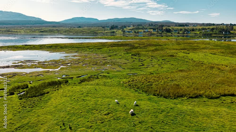 Breathtaking aerial view of lush green landscape in Scotland Breathtaking aerial view of lush green landscape in Scotland