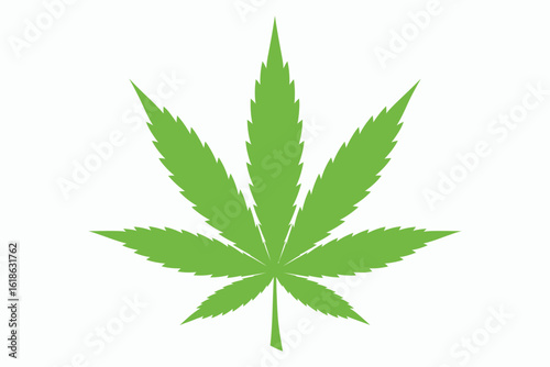 Green cannabis leaf isolated on white background