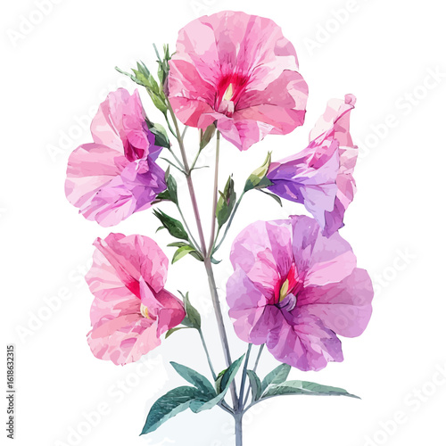 watercolor of Sweet Pea Flower, vector, isolated on a white background.