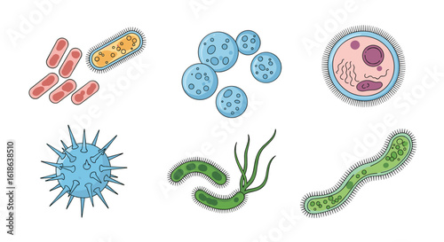 A diverse collection of microscopic organisms showing varied shapes and structures