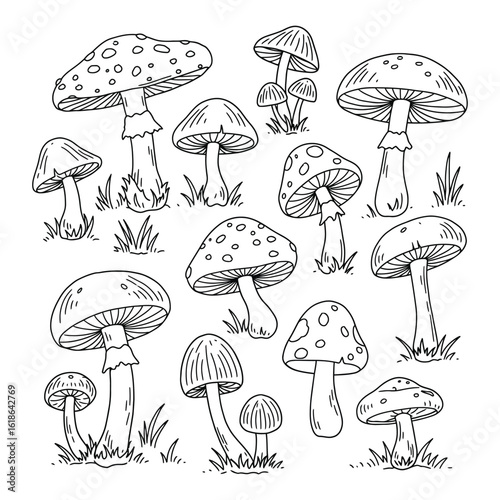 set of mushroom house line art, black outline, vector and illustration, coloring book page line art drawing