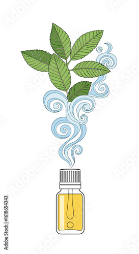 Extracting natural aromatic essences from fresh green botanical leaves through distillation processes for fragrance creation