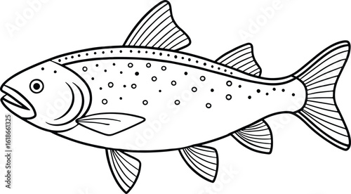 Trout fish freshwater drawing ideal for nature themed coloring books and fishing education content