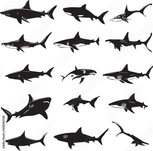 Collection of silhouetted sharks featuring various species isolated on a white background