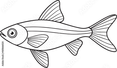 Danio fish outline drawing great for aquatic themed educational activities and children’s coloring books