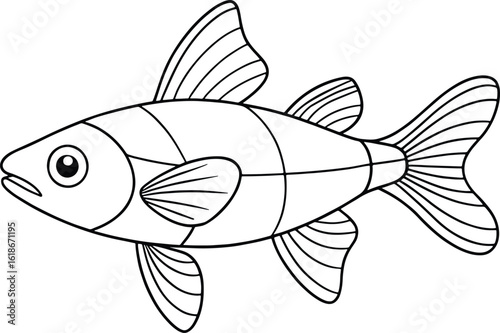 Loach fish line art drawing perfect for children’s aquatic educational books and creative marine projects