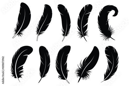 Black feather silhouettes quill plume