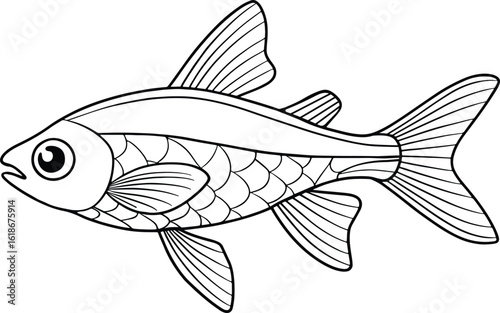 Rasbora fish line art illustration perfect for aquatic themed children’s books and educational resources