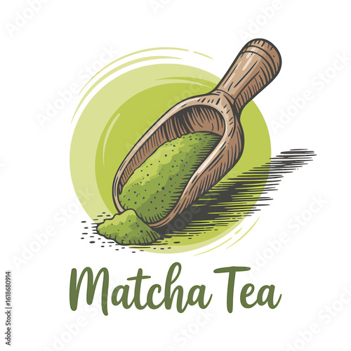 Authentic Matcha Tea Powder Illustration in Wooden Scoop with Green Background for Healthy Drink and Wellness Concept