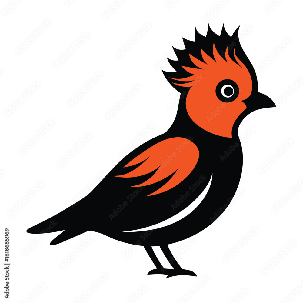 Obraz premium Solid color Tufted Coquette animal vector design