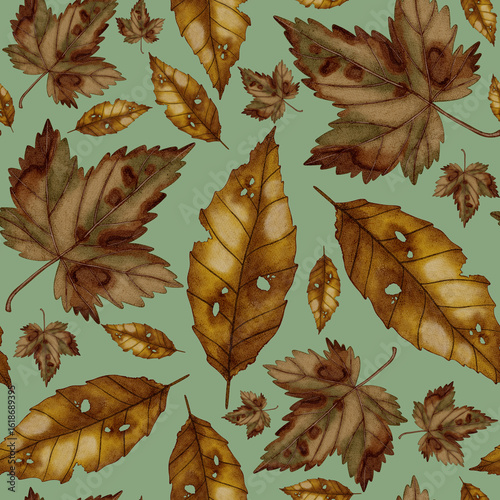 Hand-painted watercolor seamless pattern with fall leaves. Perfect for seasonal textile design, wrapping paper, and autumn-themed projects.