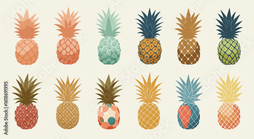 Summer Pineapple with Boho Style Illustration