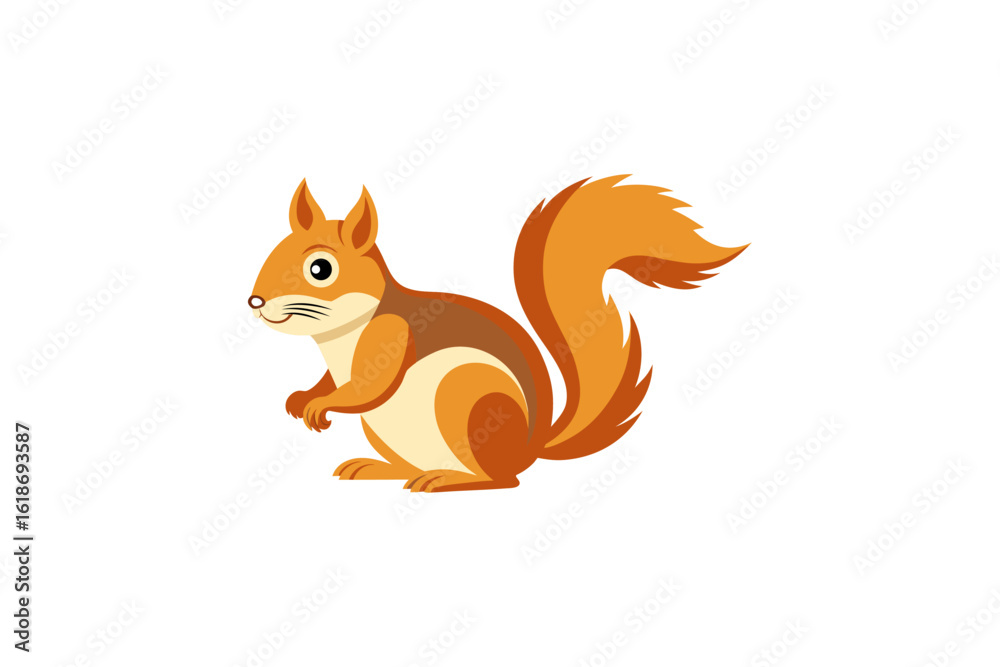 Obraz premium squirrel 