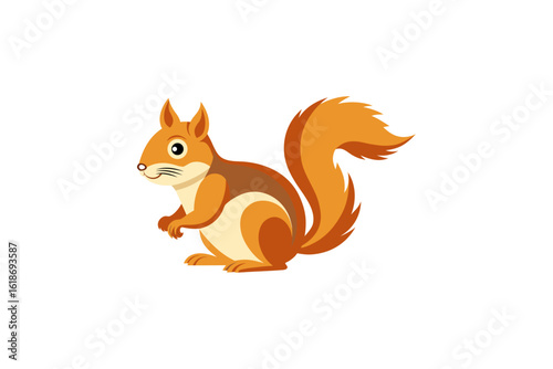 squirrel 