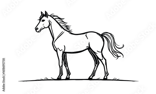 Standing Horse Sketch – Detailed Animal Drawing for Rural Art, Nature Illustration, and Anatomy Reference