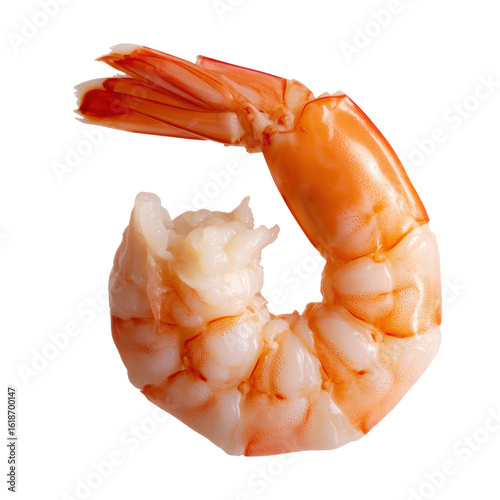 Cooked shrimp isolated on white background
