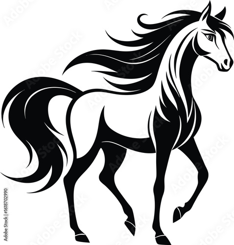 Horse Black and White