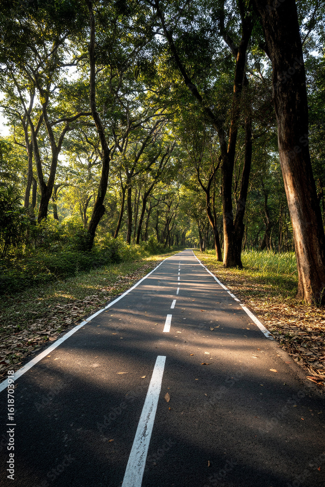 Fototapeta premium A scenic path for cycling with freshly drawn lane markings surrounded by dense green trees on both sides