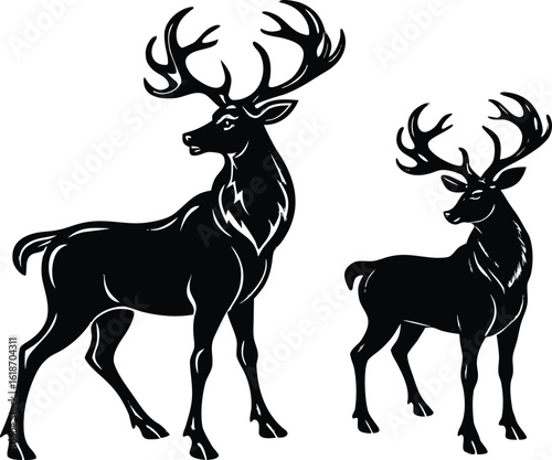  two majestic deer silhouettes with large antlers in standing wildlife posture