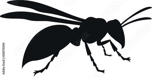 Hornet insect silhouette illustration