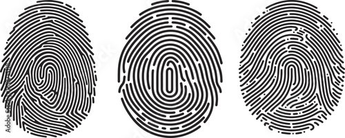 Fingerprint Biometric Vector Set