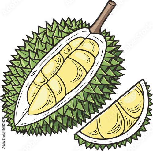 Vector Illustration of a Fresh Cucumber