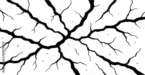 Monochrome image displays radiating black branches against a stark white background, creating a striking contrast with linear shapes and a naturally inspired geometric pattern