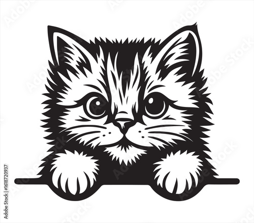 Cute Fluffy Kitten Face – Black and White Cartoon Cat Illustration

