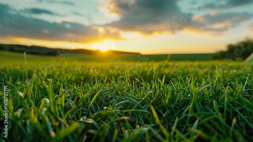 Fototapeta Naklejka Na Ścianę i Meble -  A serene sunset over lush green grass, casting warm golden hues across the landscape, creating a tranquil and peaceful atmosphere.,camping tent