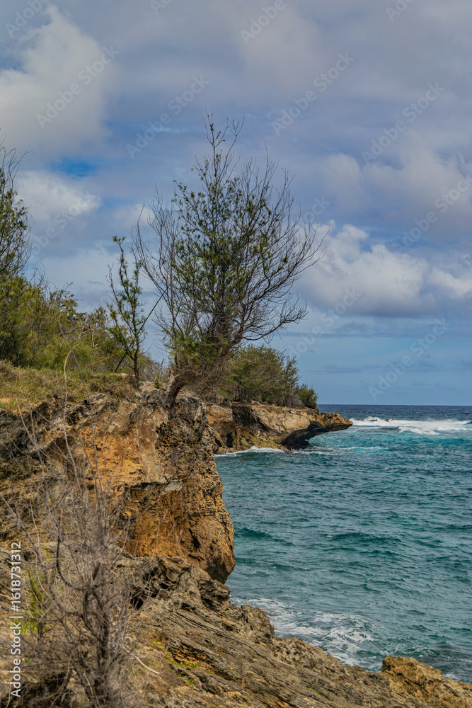 Fototapeta premium Kawailoa Bay, Kauai, Hawaii