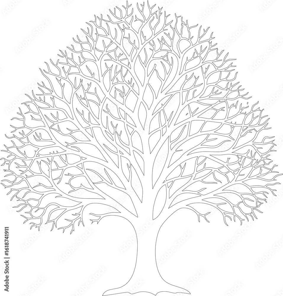 Fototapeta premium sketch of tree